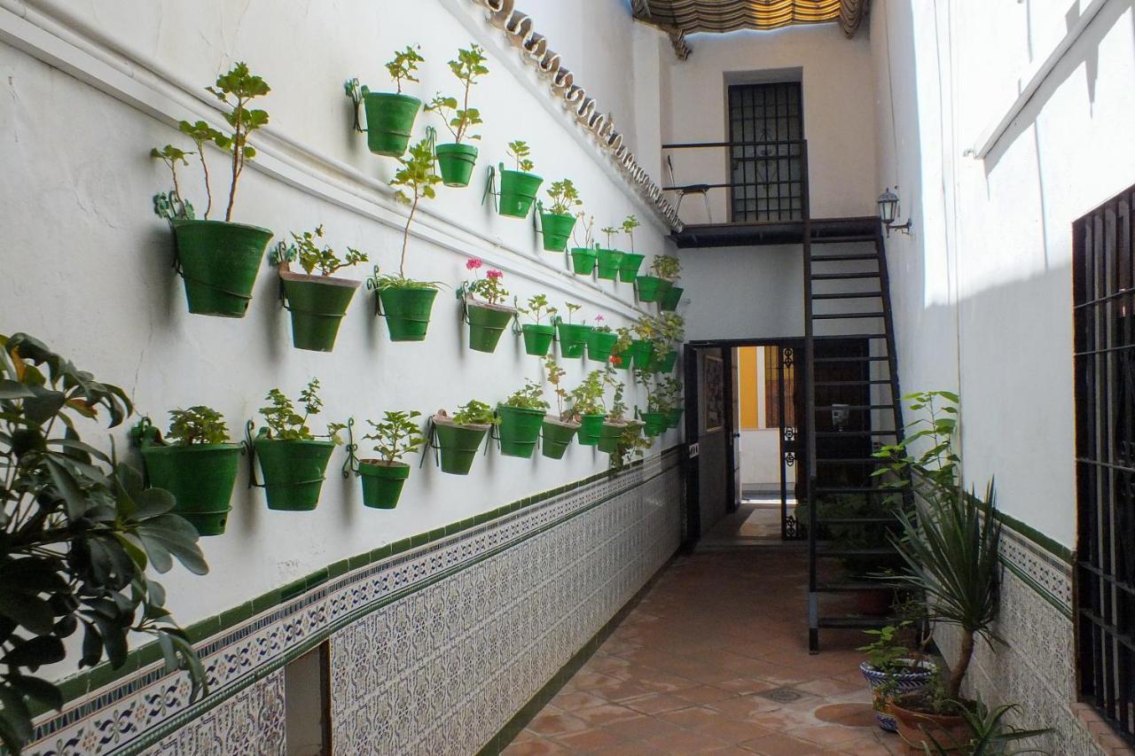 El Patio De Santiago Ξενοδοχείο Κόρδοβα Εξωτερικό φωτογραφία